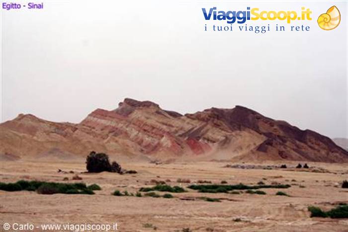 Colorful layered sandstone mountains in the Sinai desert, sparse shrubs in front
