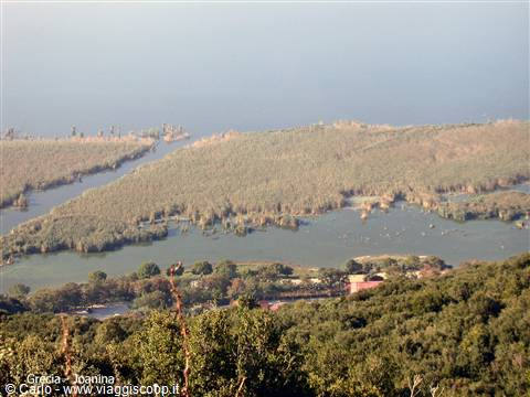 Reed wetlands and calm waters under pale light, Ioannina