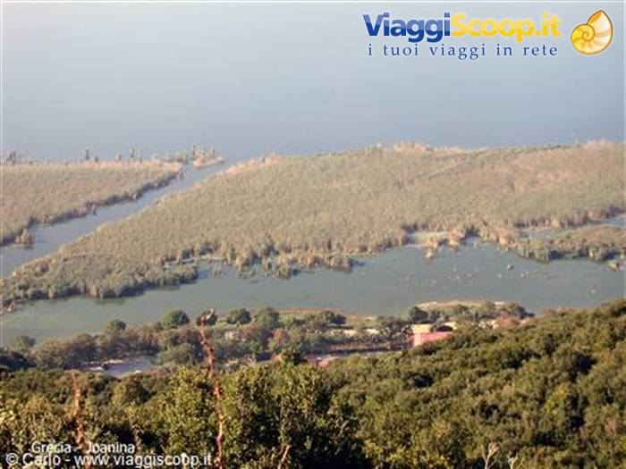 Reed wetlands and calm waters under pale light, Ioannina