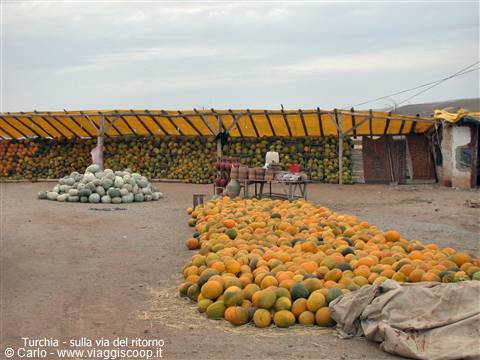 Open-air market with melons and pumpkins piled under yellow canopies
