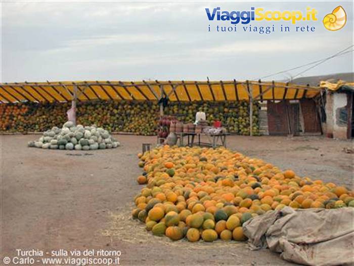 Open-air market with melons and pumpkins piled under yellow canopies