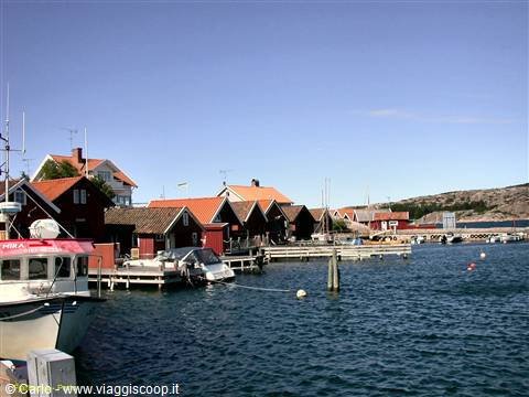 Fjalibacka