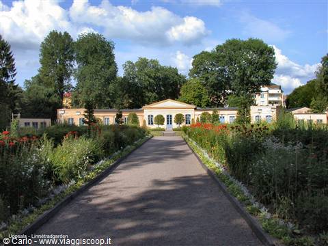 Upsala - Linnétraddarden