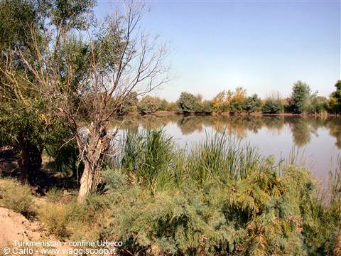 Amu Darya river at Turkmenistan-Uzbekistan border, reeds and trees reflected in water