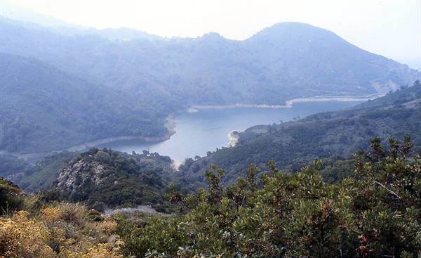 Lake surrounded by green misty hills, shrubs in the foreground