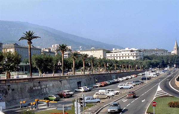 Palm-lined road with parked cars in front of city buildings, hazy mountains behind