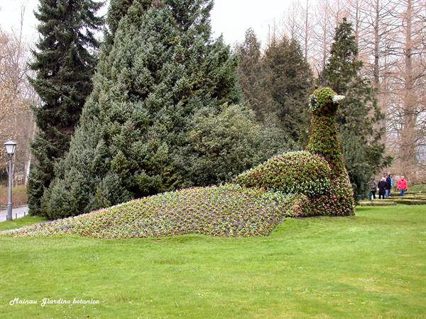 Mainau - Botanical garden