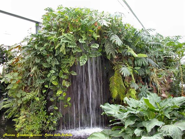 Mainau - Butterfly house
