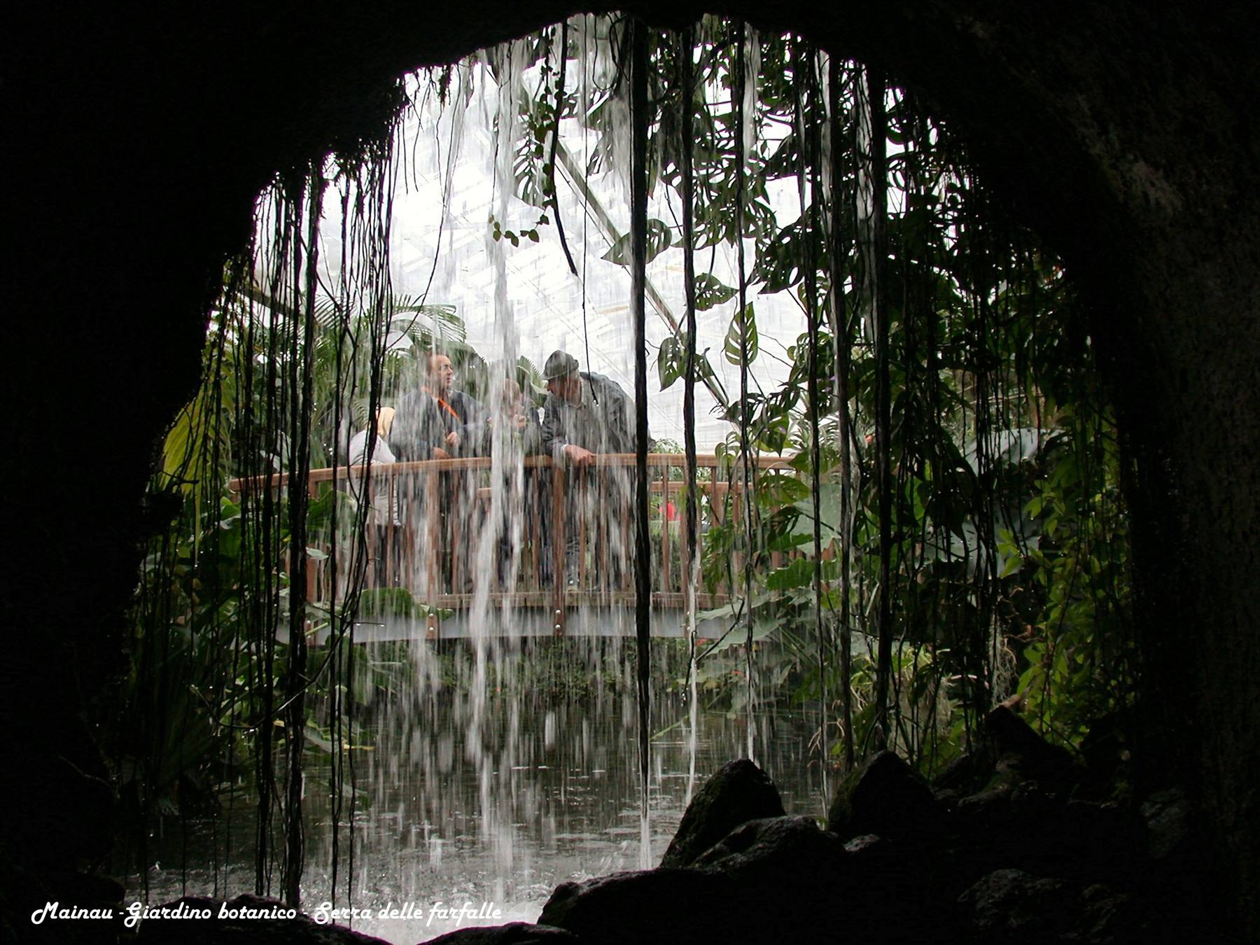 Mainau - Butterfly house