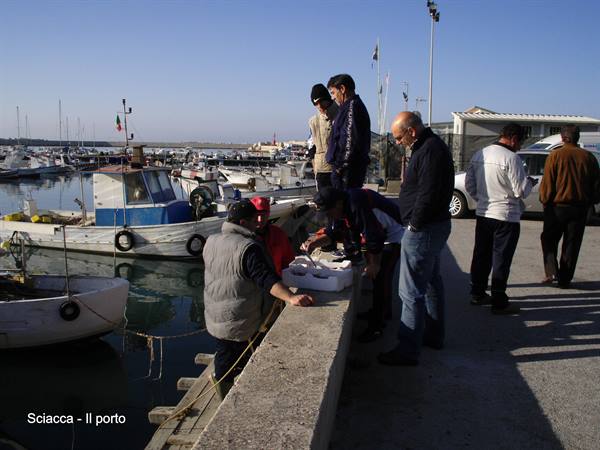 Sciacca - the Harbour