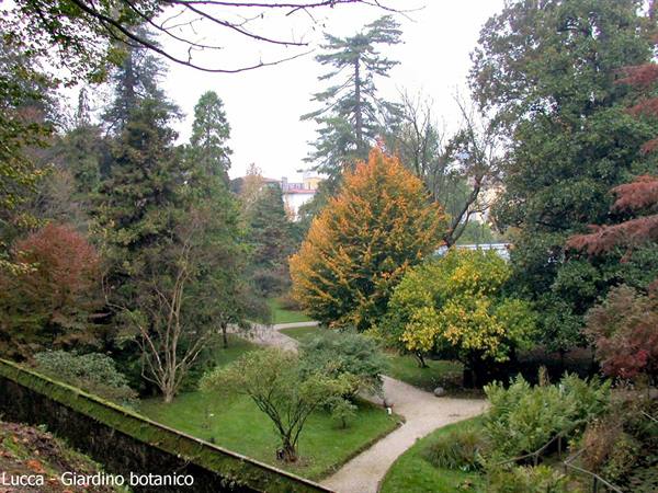 Lucca - Botanical garden