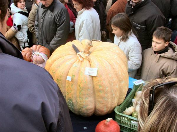 Venzone - the pumpkin festival