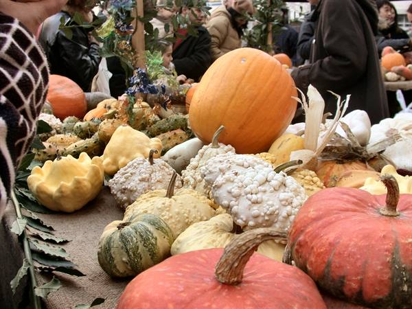 Venzone - The Pumpkin festival