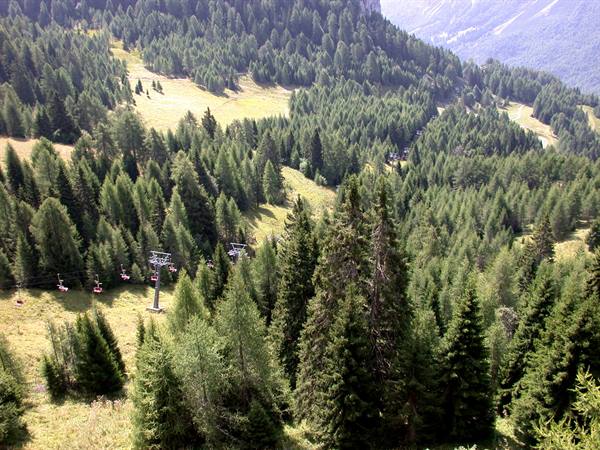 Forni di Sopra