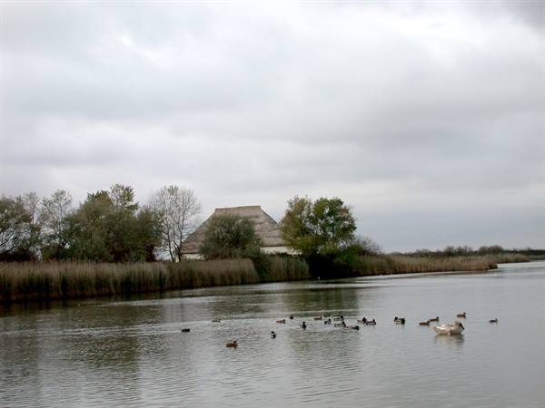 Marano Lagunare