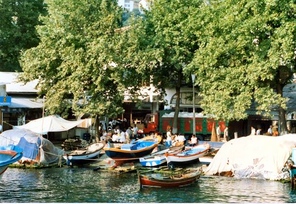 Turkey - Istanbul - on the Bosphorus