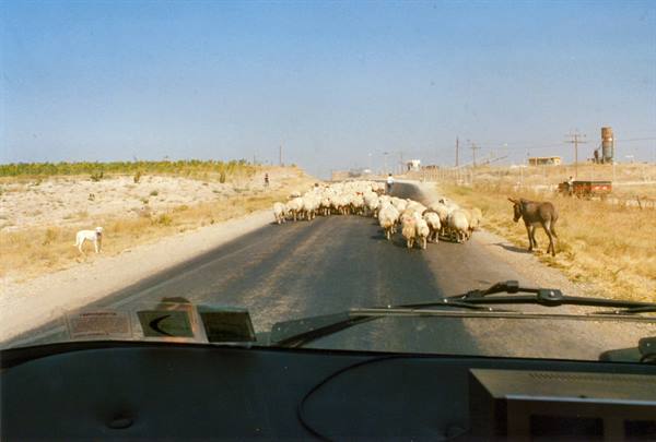Turkey 