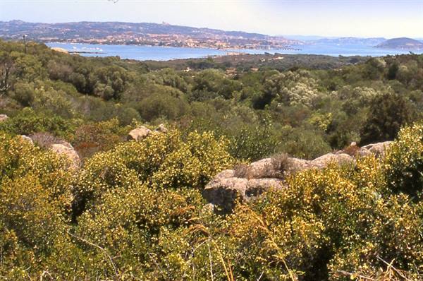 Sardinia