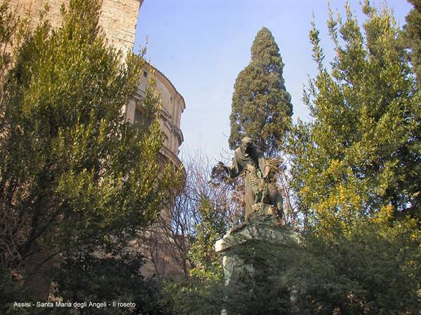 Assisi - Santa Maria degli Angeli - The Rose Garden