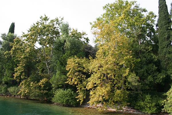 Island of Garda - Villa Cavazza