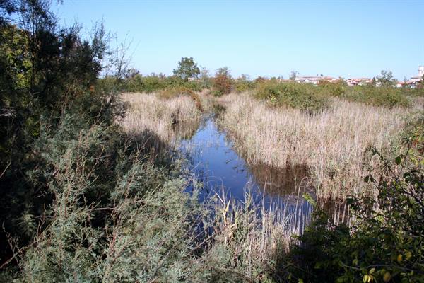 Marano Lagunare - Valle Canal Novo Nature Reserve