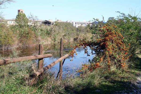 Marano Lagunare - Valle Canal Novo Nature Reserve