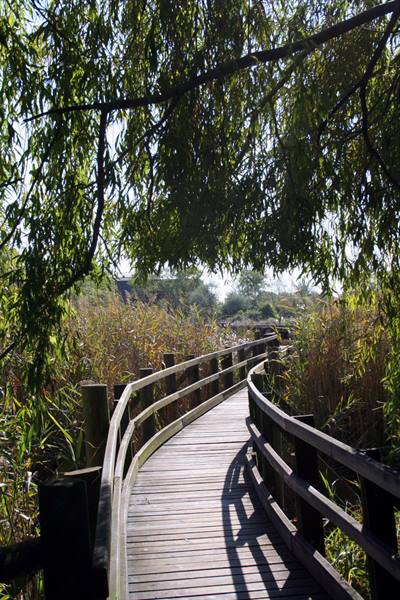 Marano Lagunare - Valle Canal Novo Nature Reserve