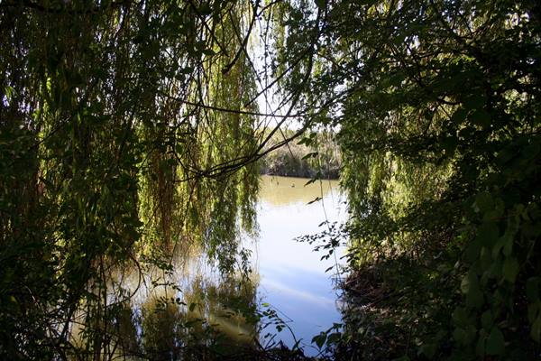 Marano Lagunare - Valle Canal Novo Nature Reserve