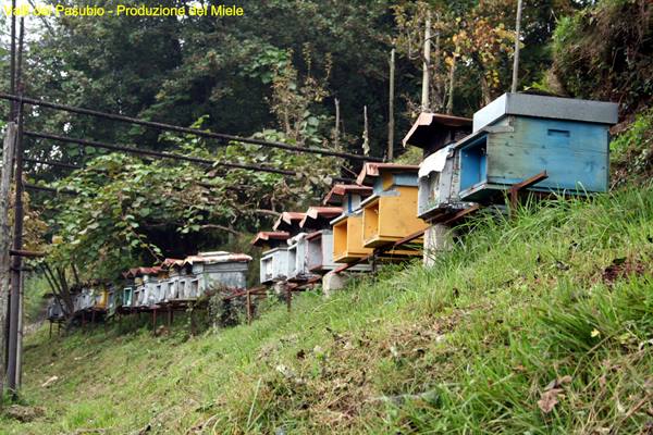 Valli del Pasubio - Honey Production
