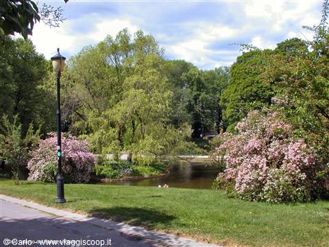 Black lamppost and pink flowering shrubs beside a green pond in a city park