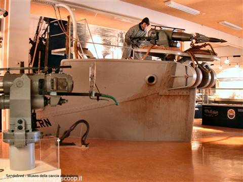 Sandefjord - Whaling Museum