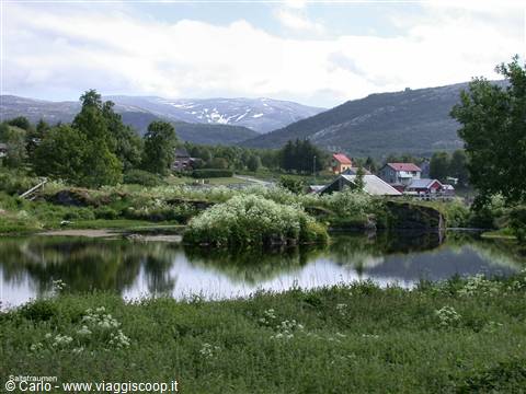Saltstraumen