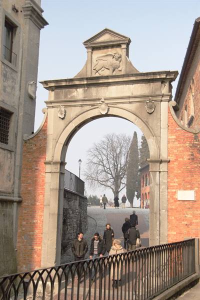 Udine