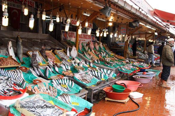 Turkey - Istanbul - fish market