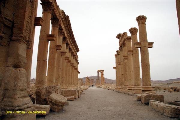 Syria - Palmyra - Colonnaded Street