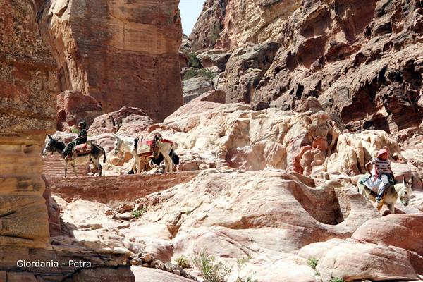 Jordan - Petra