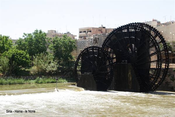 Syria - Hama - the Norias