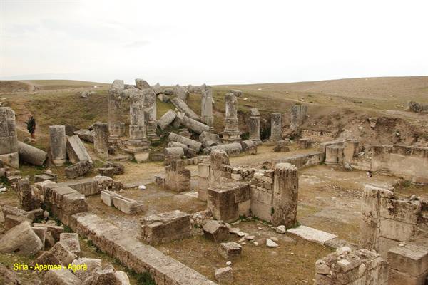 Syria - Apamea - Agora