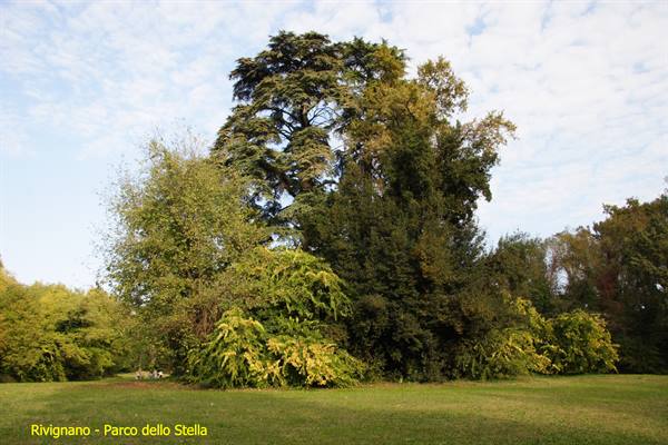 Rivignano - Stella Park