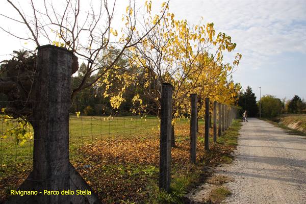 Rivignano - Stella Park