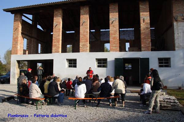 Flambruzzo - Educational farm - Federico tells the story....