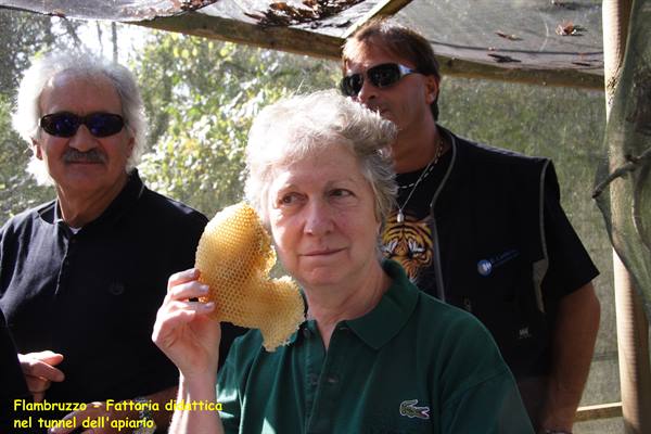 Flambruzzo - Educational farm - Apiary