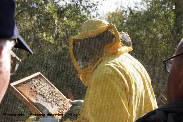 Flambruzzo - Educational farm - Apiary