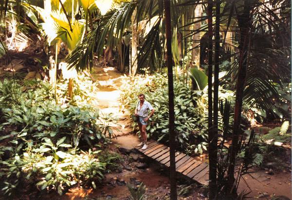 Man in white shirt on wooden footbridge in tropical jungle