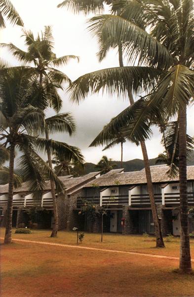 Tall palm trees in front of bungalows with grey roofs and garden