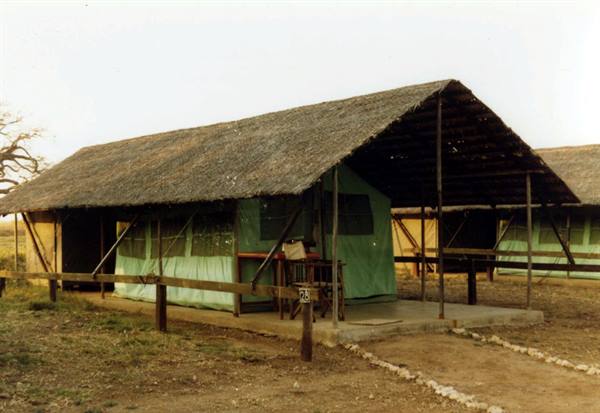 Green safari tent under thatched roof, tourist camp, number 25 sign