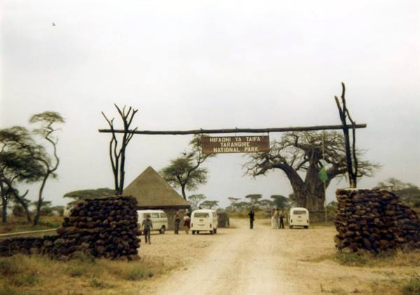 Tarangire National Park entrance, wooden gate, minibuses and baobab trees
