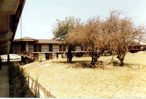 One-story lodge among bare trees and dry grass, bright sunlight
