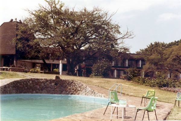 Green chairs beside a stone pool, large tree and thatched-roof building