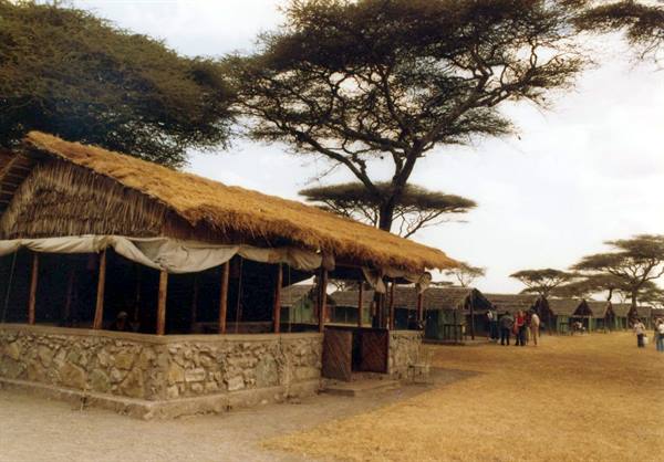 Thatched-roof bungalow with stone wall among acacia trees, visitors on dry grass